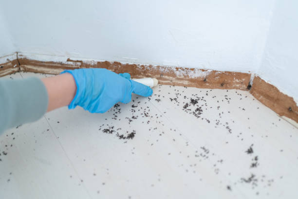 Best Pest Exclusion Services  in Snohomish, WA